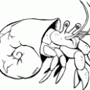 Articles de coenobita